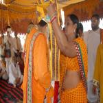 Vraj-Yatra-2014- (2393)